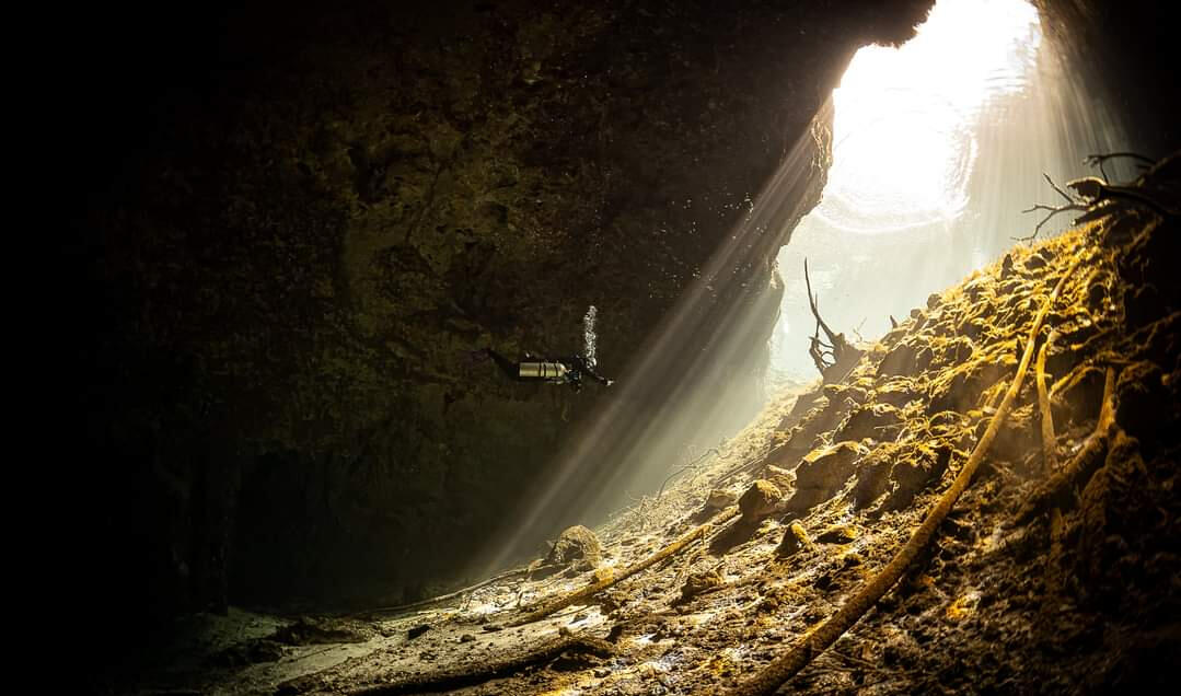 Overhead cave diving training environment Overhead cave diving training environment in the Riviera Maya